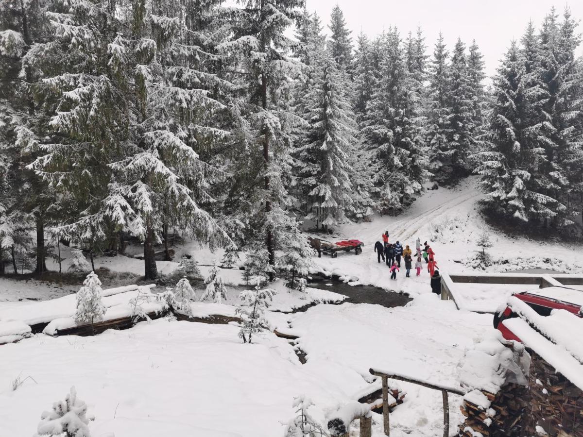 Alpina Panoramic Hotel มุยเซ ภายนอก รูปภาพ